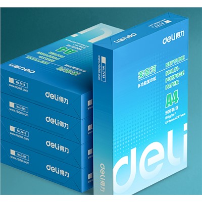 得力(deli) 7419 復印紙 萊茵河A4  80g克500張*5包/一箱 
